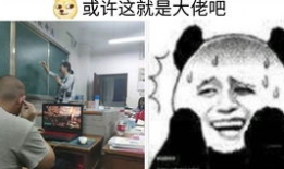 卧槽视频,揭秘网络热传的爆笑瞬间