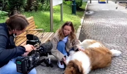 人狗交视频,温馨治愈的友谊瞬间